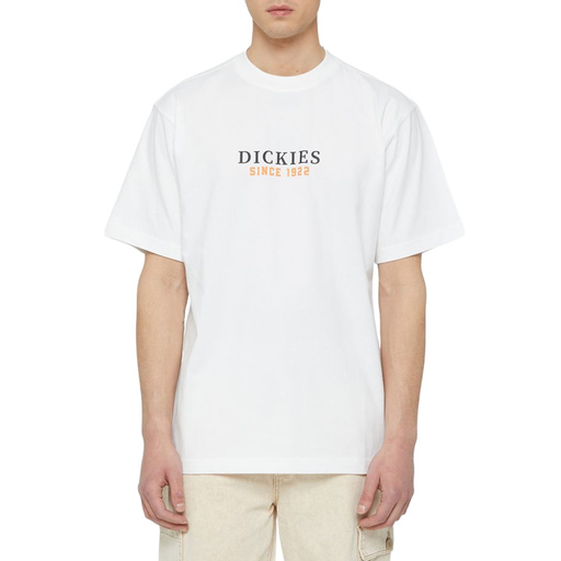 DICKIES — D0A4YFDH80
