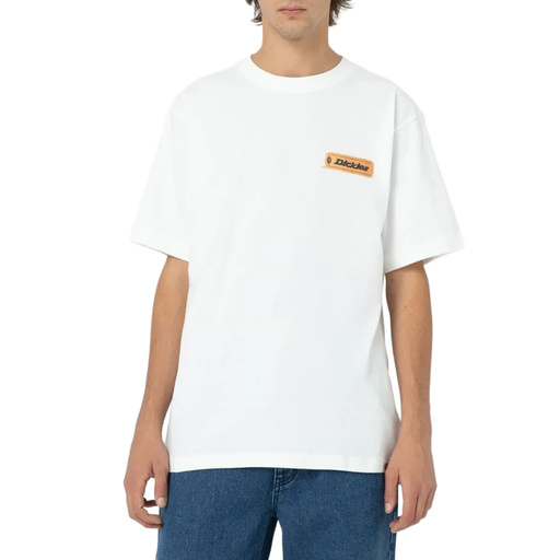 DICKIES — D0A4YK5WHX