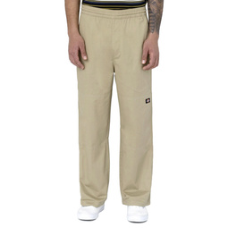 DICKIES — D0A4Y22