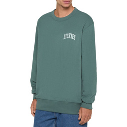 DICKIES — D0A4YBGJ95