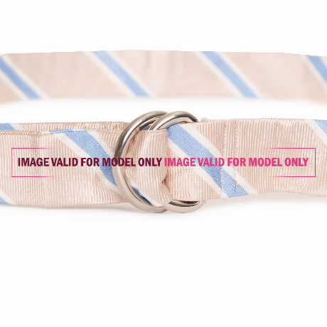 Belts Gant marine &mdash; fot 2