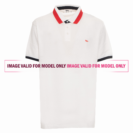 HARMONT & BLAINE &mdash; L0HO250