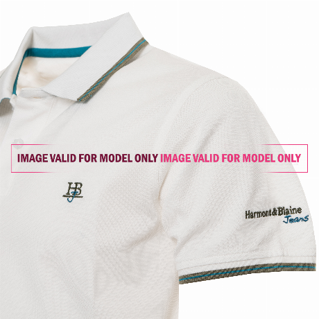 HARMONT & BLAINE JEANS LNFJ130 - VERDE MILITARE - POLOS - Image 3