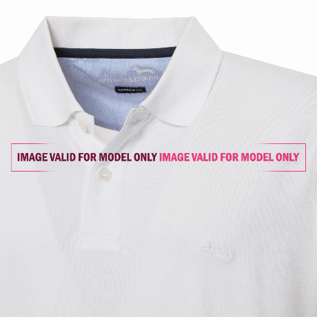 HARMONT & BLAINE LNJO790 - PETROLIO - POLO - Image 2