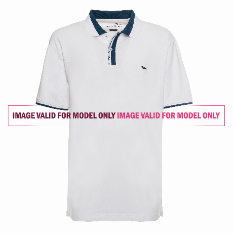 HARMONT & BLAINE &mdash; LRJO280