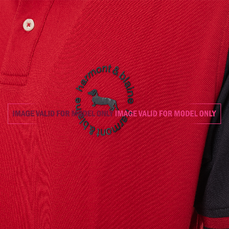 HARMONT & BLAINE LRJO320 - BIANCO/BLU - POLO - Image 2