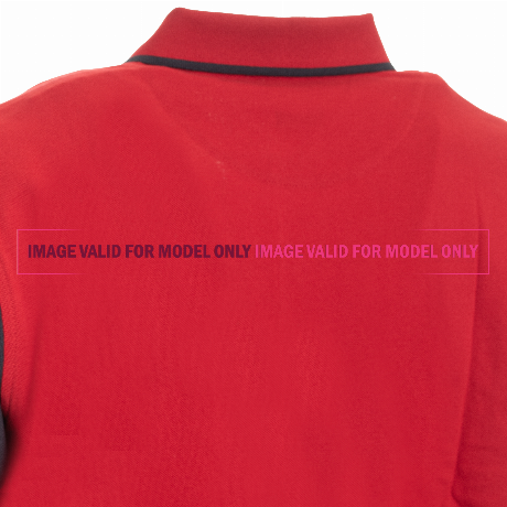 HARMONT & BLAINE LRJO320 - BIANCO/BLU - POLO - Image 3