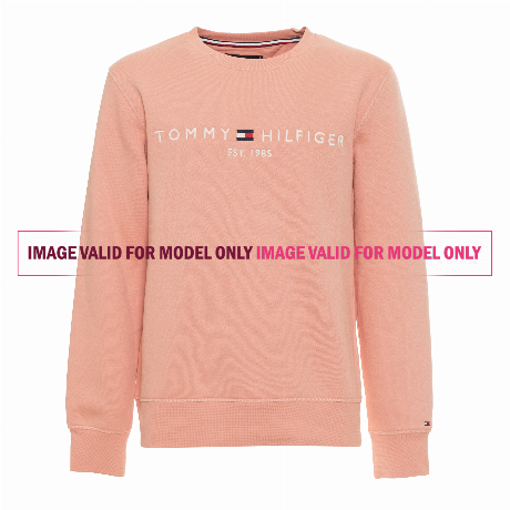 TOMMY HILFIGER — MW0MW11596