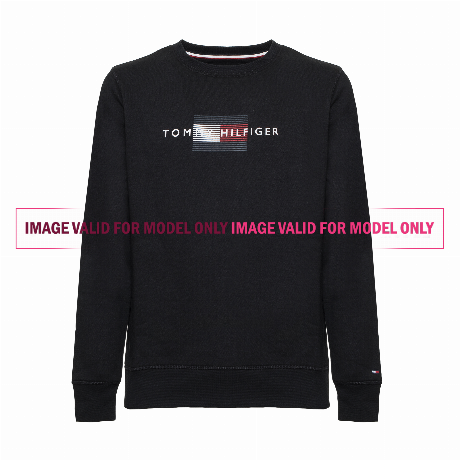 TOMMY HILFIGER — MW0MW20118