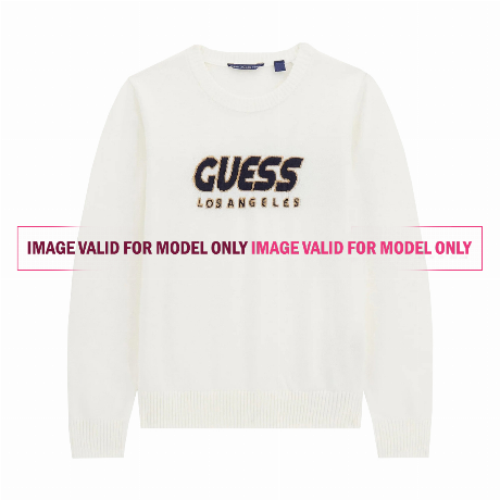 GUESS &mdash; N5RR01
