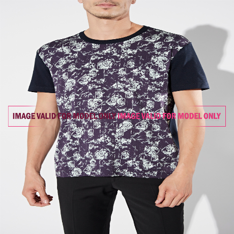 PLMCFI0015870