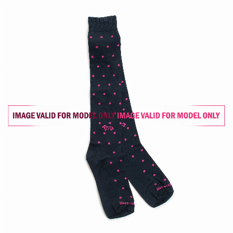 HARMONT & BLAINE Q0D0290 - CELESTE/VIOLA - UNDERWEAR