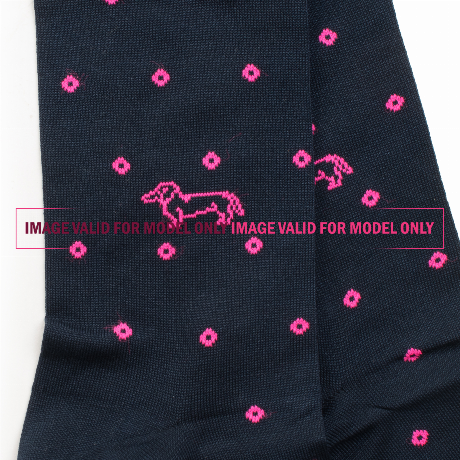 HARMONT & BLAINE Q0D0290 - CELESTE/VIOLA - UNDERWEAR - Image 2