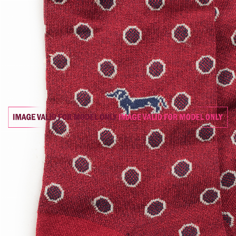 HARMONT & BLAINE Q0D0330 - BLU - ROPA INTERIOR - Image 2