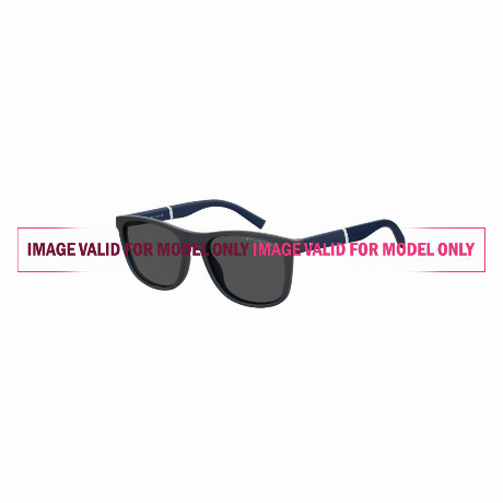 TOMMY HILFIGER — TH2042S