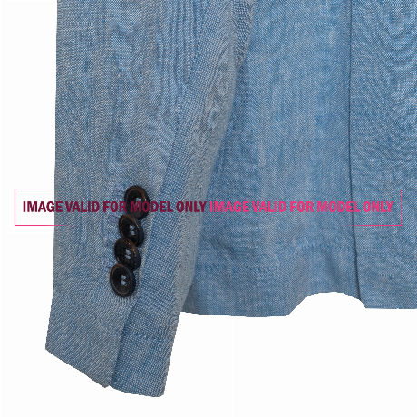 V00231