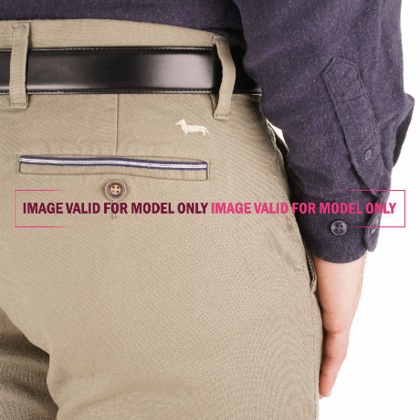 HARMONT & BLAINE WNHO850 - BETULLA - PANTALONI - Image 3