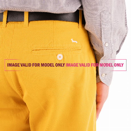 HARMONT & BLAINE WUD3220 - BETULLA - PANTALONI - Image 3