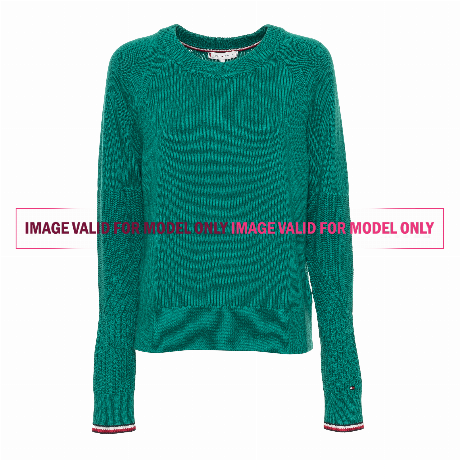 TOMMY HILFIGER — WW0WW25842