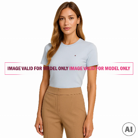 TOMMY HILFIGER — WW0WW40587