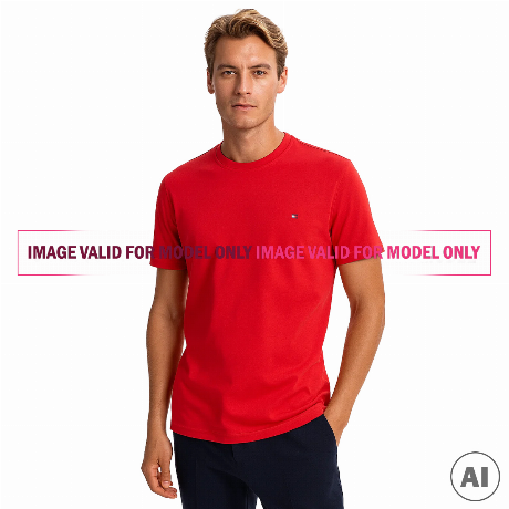 TOMMY HILFIGER — XM0XM03172